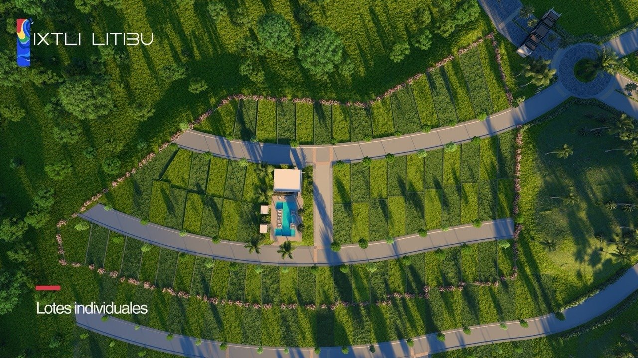 Lotes individuales